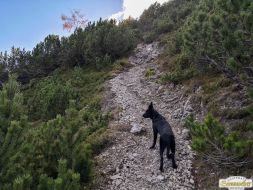 Wanderung auf das Sinnesjoch