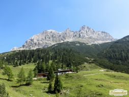 Auf die Handschuhspitze