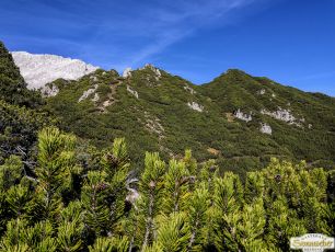 Auf die Judenköpfe und Judentörl