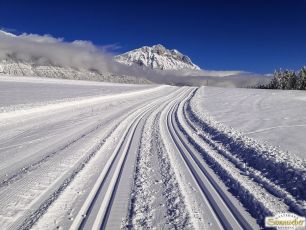 Spaziergang im Winterwunderland