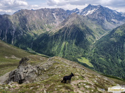 Von Niederthai zur Larstigalm