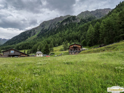 Von Niederthai zur Larstigalm