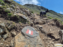 Rundwanderung auf den Wetterkreuzkogel