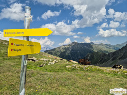 Rundwanderung auf den Wetterkreuzkogel
