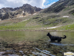 Rundwanderung auf den Wetterkreuzkogel