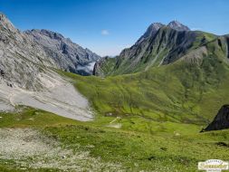 Viehabtrieb ins Felderer Tal