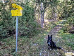 2024-10-27_Wannig-Handschuhspitze_04