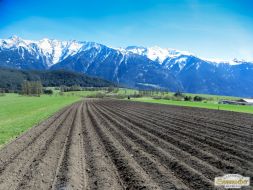 Landwirtschaft
