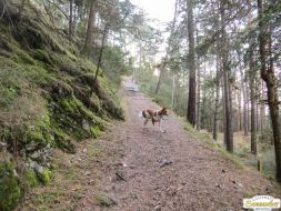 Wanderung aufs Fiechter Köpfl