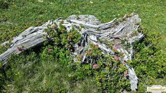 Mountainbiketour zur Simmeringalm