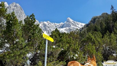 Schneewanderung auf den Gacher Blick