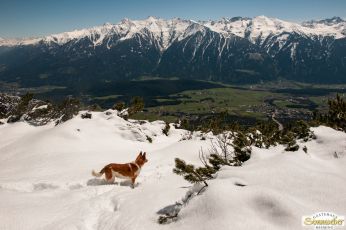 Schneewanderung auf den Gacher Blick