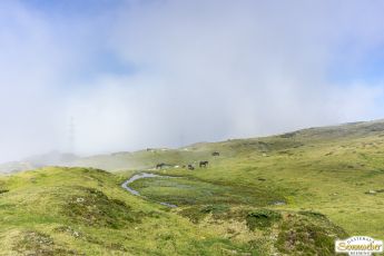 Wanderung auf den Pirchkogel