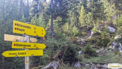 Wanderung zur Rotmoosalm