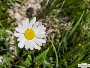 Wanderung auf den Gacher Blick