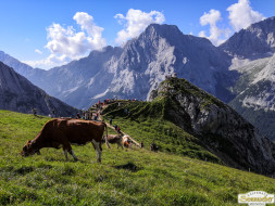 Abtrieb "Felderer Tal"