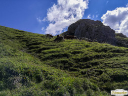 Abtrieb "Felderer Tal"