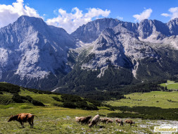 Abtrieb "Felderer Tal"