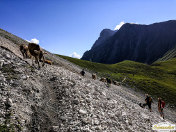 Abtrieb "Felderer Tal"