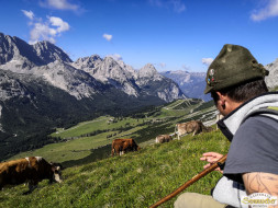 Abtrieb "Felderer Tal"