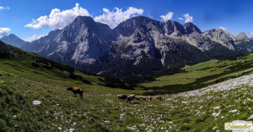 Abtrieb "Felderer Tal"