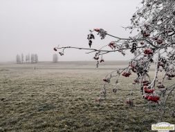 2020-11-29_Gacher-Blick_41