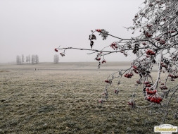 Gacher Blick über dem Hochnebel