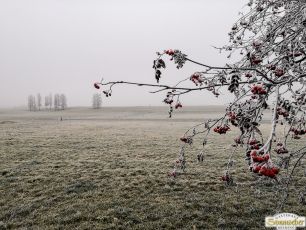 Gacher Blick über dem Hochnebel