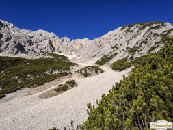 Gacher Blick über dem Hochnebel