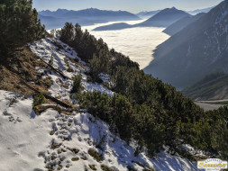 Gacher Blick über dem Hochnebel