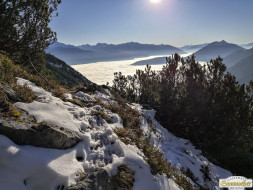Gacher Blick über dem Hochnebel