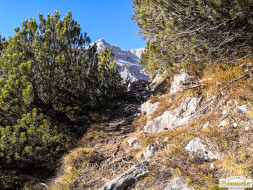 Gacher Blick über dem Hochnebel