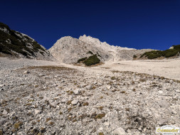 Gacher Blick über dem Hochnebel