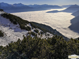 Gacher Blick über dem Hochnebel
