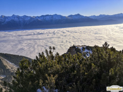 Gacher Blick über dem Hochnebel