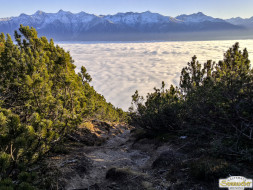 Gacher Blick über dem Hochnebel
