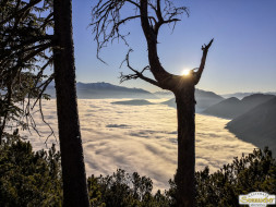 Gacher Blick über dem Hochnebel