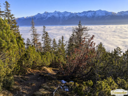 Gacher Blick über dem Hochnebel