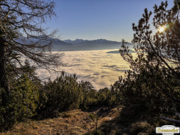 Gacher Blick über dem Hochnebel