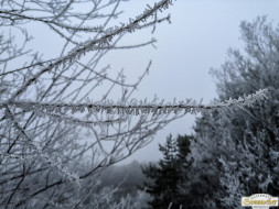 Gacher Blick über dem Hochnebel