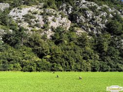 MTB-Tour zur Maisalm in Roppen