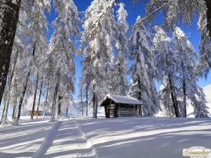 Spaziergang im Winterwunderland