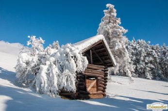 Spaziergang im Winterwunderland