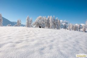 Spaziergang im Winterwunderland
