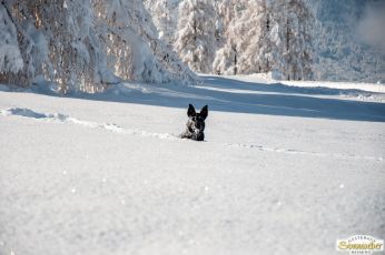 Spaziergang im Winterwunderland