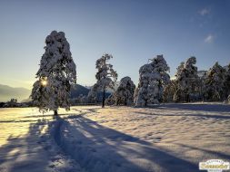 Spaziergang im Winterwunderland