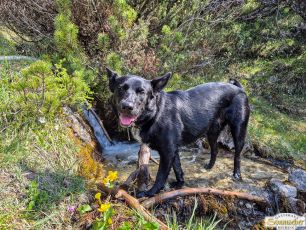 Höllkopf - Rundwanderung