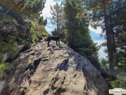 Von Niederthai zur Larstigalm