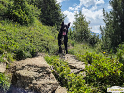 Von Niederthai zur Larstigalm