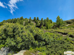 Von Niederthai zur Larstigalm